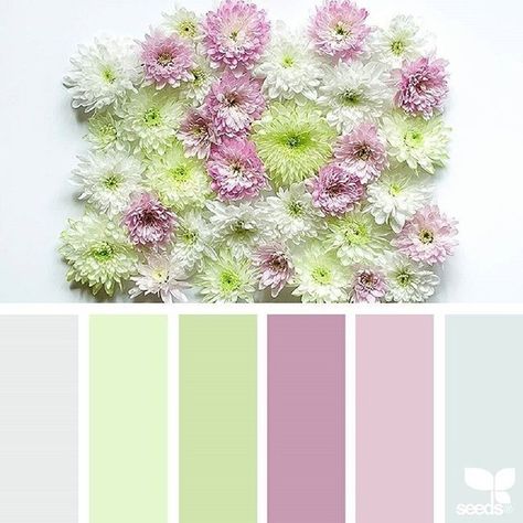 Design Seeds Color Palette, Seeds Color Palette, Colour Magic, Today's Inspiration, Fashion Sketching, Colour Guide, Seeds Color, Color Concept, Colour Pallets