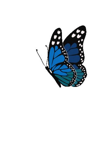 Animals Sticker for iOS & Android | GIPHY Butterfly Gif, Love Heart Gif, Beautiful Butterfly Photography, Cute Mobile Wallpapers, Bridal Photography Poses, Heart Gif, First Animation, Funny Shirts Women, Animation Reference