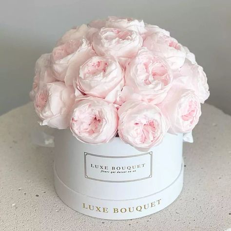 Rose Bears, Mesas Para Baby Shower, Everlasting Bouquet, Luxury Florists, Bouquet Box, Everlasting Flowers, Iphone Wallpaper Fall, Order Flowers Online, David Austin Roses