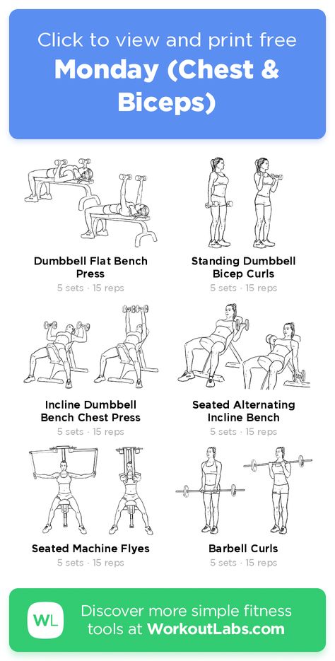 Chest And Biceps Workout Women, Chest Biceps Workout, Chest And Bicep Workout Gym, Chest Bicep Workout, Chest And Arms Workout Women, Chest And Biceps Workout, Chest And Bicep Workout, Bicep Workout Gym, Chest And Arm Workout