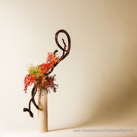 Autumn Ikebana, Ikebana Sogetsu, Floral Art Arrangements, Sogetsu Ikebana, Photography Friends, Ikebana Arrangements, Ikebana Flower Arrangement, Modern Flower Arrangements, Japanese Gardens