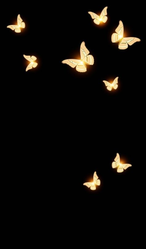 Black And Gold Background Aesthetic, Yellow Butterfly Wallpaper, Yellow Black Butterfly, Iphone Wallpaper Stars, Hd Flower Wallpaper, Flower Background Images, Wallpaper Iphone Boho, Blurred Background Photography, Goth Wallpaper