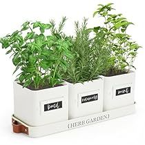 Indoor Herb Garden Containers, Herbs In Kitchen Window, Window Pots, Windowsill Herb Garden, Window Herb Garden, Kitchen Herb Garden, Herb Garden Planter, Rosemary Herb, Outdoor Window