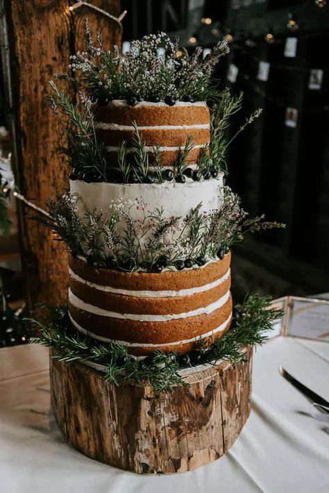 Naked Wedding Cake Ideas, Forest Wedding Theme, Outdoor Wedding Cake, Forest Theme Wedding, Enchanted Forest Wedding, Wedding Cake Ideas, Tiered Cake, Hippie Wedding, Wedding Cake Rustic