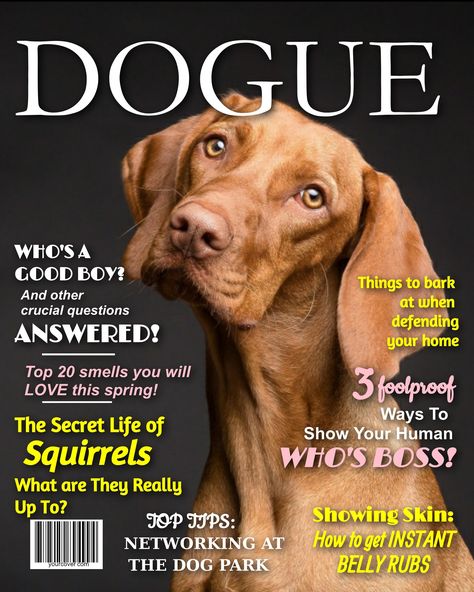 OMG - Your dog is just too adorable!! 😍 You know he's a star, so put that handsome pup on his very own personalized magazine cover! Superstar! Only from www.YourCover.com It's so easy to do... 1) Choose a template 2) Upload a photo 3) Customize the headline text #dogs #dogstagram #instadog #doglover #ilovemydog #petstagram #puppylove #dogue Dog Cover Photo, Fake Magazine Covers, Pet Magazine, Animal Magazines, Magazine Cover Ideas, Magazine Cover Template, Dog Magazine, Dog Cover, Custom Pet Art