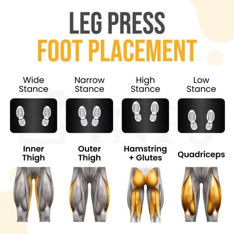 Leg Press Foot Placement, Leg Press Workout, Leg Workouts Gym, Workout Gym Routine, Best Leg Workout, Gym Workout Plan For Women, Leg And Glute Workout, Gym Tips, Workout Plan For Women