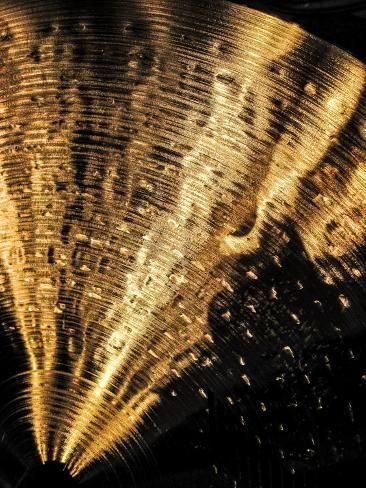 size: 12x9in Giclee Print: Zildjian Hi Hat Cymbals : Soft Gold Aesthetic, Serena Core, Murmuration Art, Gold Flapper, Canvas Wallpaper, Gold Wallpaper Background, Aesthetic Gold, Art Deco Gold, Mood Images