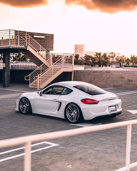 Craven on Instagram: “On my way to care but I fell right down the stairs ➖➖➖➖➖➖➖➖➖➖➖➖➖➖➖➖➖ @phat_eee shot for @forgestar ➖➖➖➖➖➖➖➖➖➖➖➖➖➖➖➖➖ #987 #porsche #cayman…” William Core, 981 Cayman, Porsche Cayman 981, Porsche Cayman 987, Porsche 987, White Porsche, Porsche Cayman S, Mercedes Wallpaper, Luxury Exterior