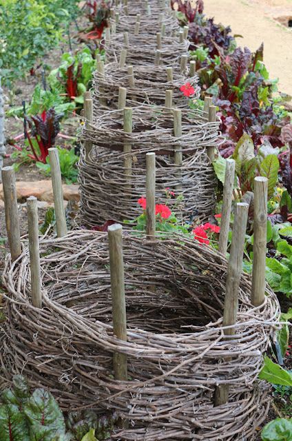 Garden Vines, Potager Garden, The Suburbs, Garden Structures, Veggie Garden, Garden Cottage, Rustic Gardens, Edible Garden, Raised Garden Beds