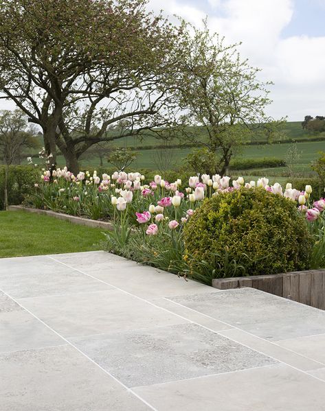 Limestone Paving Patio, Limestone Paving Outdoor, Limestone Porch Floor, Natural Stone Terrace, Limestone Flooring Outdoor, Limestone Outdoor Patio, Grey Limestone Patio, Limestone Walkway Pathways, Outdoor Tile Floor Patio Ideas