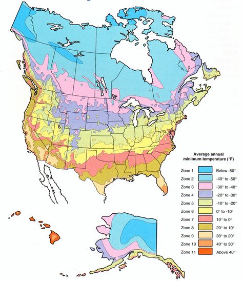 Plant Hardiness Zone Map for North America Growing Zones Map, Perennial Ground Cover, Plant Hardiness Zone Map, Plant Zones, Gardening Zones, Zone 9, Greenhouse Growing, Backyard Camping, Zone 5