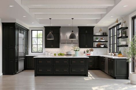 : Explore our wide range of black kitchen cabinet options, from modern to traditional styles. #kitchencabinets #blackcabinets Dark Cabinets Light Counters, All Black Kitchen, Amazon Kitchen Decor, Cabinet Samples, Kitchen Cabinet Samples, Modern Apartment Living Room, Maple Kitchen Cabinets, Dark Grey Kitchen, Maple Kitchen