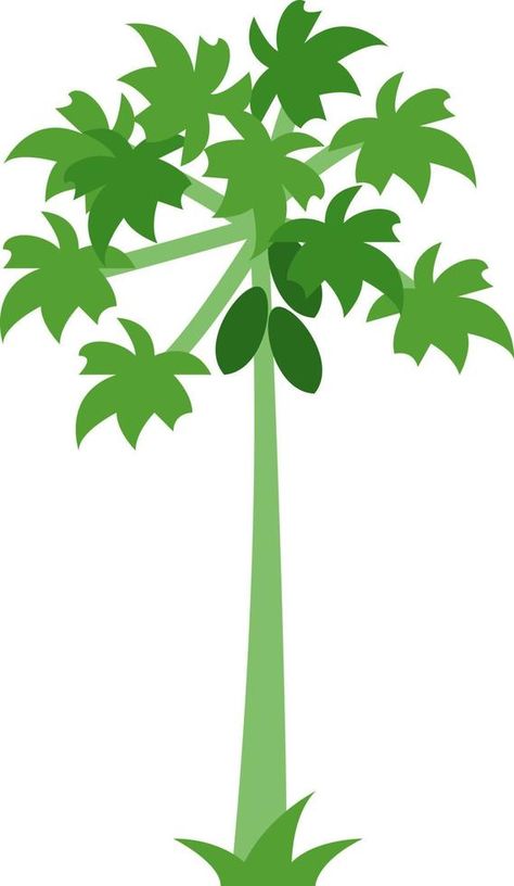 papaya tree flat illustration Papaya Tree Illustration, Papaya Tree Drawing, Tree Flat Illustration, Papaya Tree, Plant Icon, Tree Illustration, Class Activities, Tree Drawing, Flat Illustration