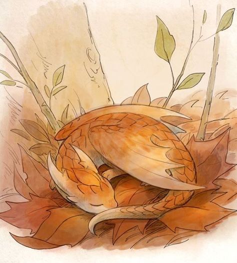 "Something is sleeping in the forest...."  By Sandara Dragon Wrapped Around, Dragon Curled Up, Sleeping In The Forest, Leaf Dragon, Dragon Sketch, Pet Dragon, Images Kawaii, Mythical Animal, Creature Drawings