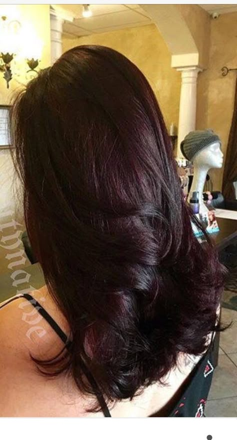 Chocolate Cherry Hair Color, Dark Cherry Hair, Chocolate Cherry Hair, Cherry Hair Colors, Wine Hair Color, Cherry Red Hair, Wine Red Hair, Plum Hair, Red Hair Inspo