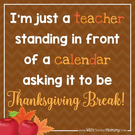 Comment below what day you’re counting down to! 😂  For more quotes like this, follow along @wifeteachermommy 💕  #teachermemes #teacherquotes #teachermeme #teacherinspiration #classroompinspirations #teacherhumor #educationquotes #teachersfollowteachers #teachersfollowingteachers #teachersofinstagram #teachersofinsta #teachersofig #igteachers  #teacherlife🍎#iteach #iteachtoo #teachermom #teachermommy #instateacher #teachersofthegram #teachergram #teachershare #weareteachers #teacherswag #teach Maternity Leave Teacher, Funny Thanksgiving Memes, Best Teacher Quotes, Teacher Thanksgiving, Teachers Thanksgiving, Teaching Humor, Hbd Quotes, Thanksgiving Break, Teacher Conferences