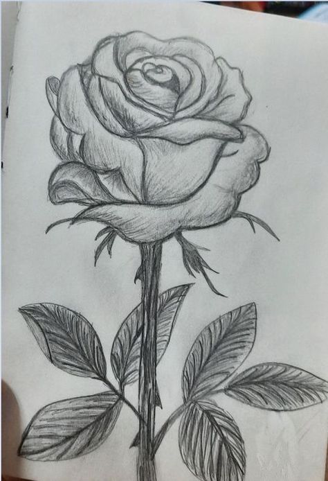 Flower Art Drawing, Meaningful Drawings, Art Drawings Sketches Pencil, Rose Drawing, Easy Doodles Drawings, Easy Drawings Sketches, Doodle Art Designs, Pencil Art Drawings, Mini Drawings