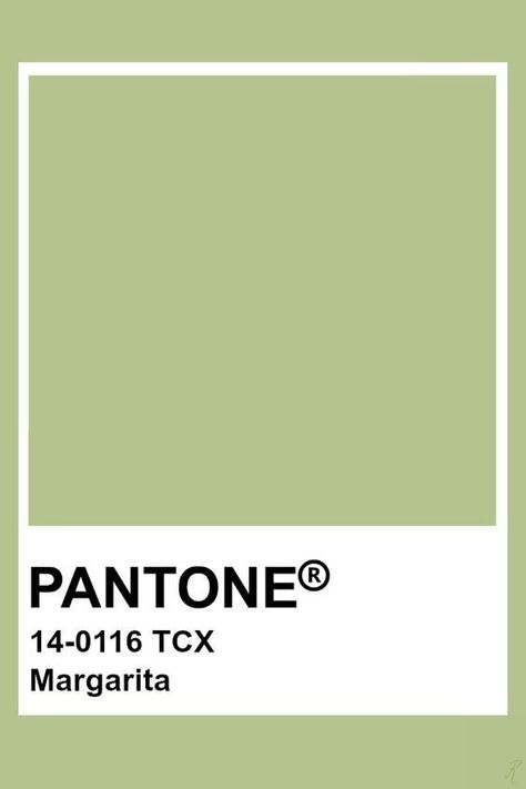 Light Green Pantone, Sage Green Pantone, Sage Pantone, Pantone Green Colors, Notion Green, Matcha Green Color, Green Pantone, Pantone Green, Pantone Tcx