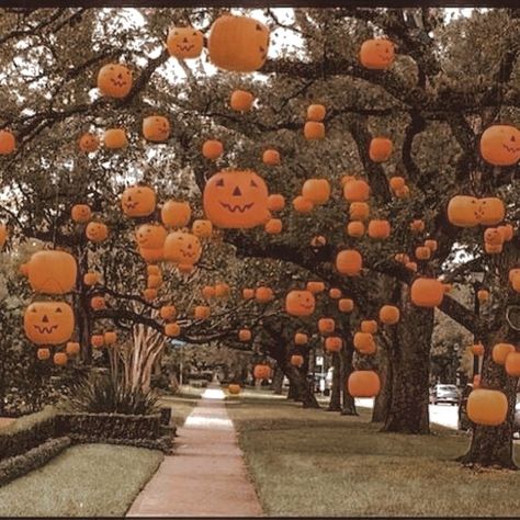 Halloween Yard Decorations Diy, Adult Halloween Party Decorations, Halloween Decorations Outdoor Porch, Diy Halloween Dekoration, Halloween Yard Signs, Scary Halloween Decorations Outdoor, Halloween Decorations Ideas, Herbst Bucket List, Halloween Decor Diy