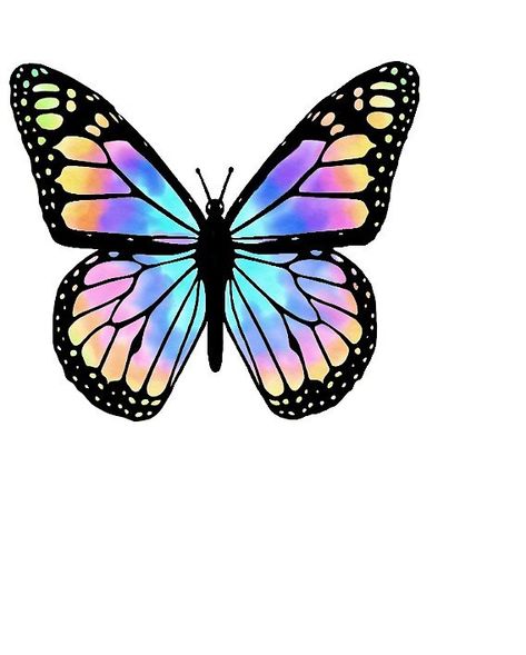 Colorful rainbow butterfly • Millions of unique designs by independent artists. Find your thing. Tie Dye Butterfly, Kristina Webb, Rainbow Butterflies, Butterfly Art Painting, Butterfly Designs, Butterfly Printable, Butterfly Clip Art, Rainbow Butterfly, Butterfly Pictures