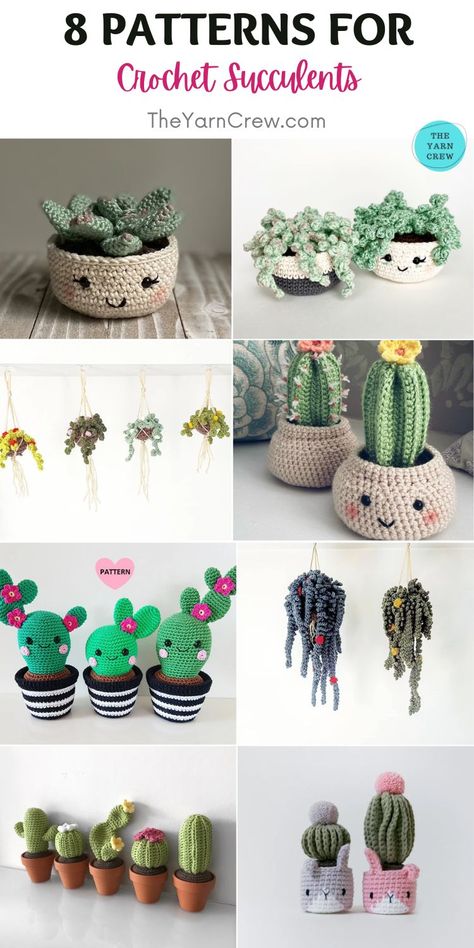 Beginner Crochet Plant, Crochet Gifts For Sister, Crochet Project Ideas To Sell, Crochet Succulents Free Pattern, Popular Crochet Items To Sell, Crochet Mothers Day Gifts, Crochet Succulent Plant, Crochet Gifts For Mom, Mothers Day Crochet