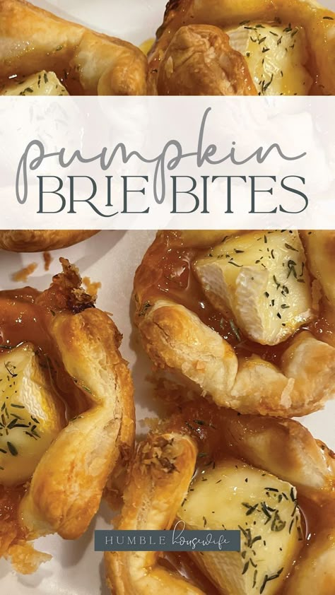 Gourmet Thanksgiving Appetizers, Thanksgiving Brie Bites, Pumpkin Recipes Appetizers, Pumpkin Brunch Party, Pumpkin Tailgate Recipes, Trader Joe’s Thanksgiving Appetizers, Brie Pumpkin Puff Pastry, Thanksgiving Brie Appetizers, Pumpkin Brie Appetizer