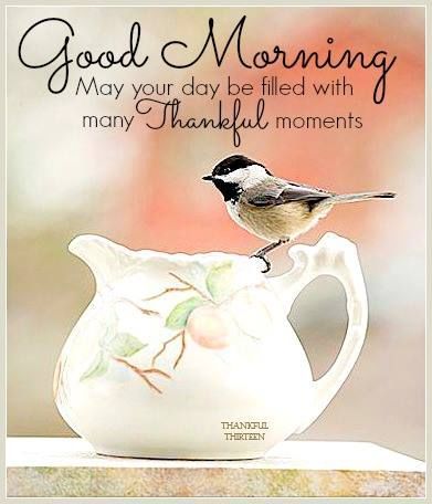 Good Morning May Your Day Be Filled WIth Thankful Moments Quotes Morning, Morning Quotes For Friends, Lovely Morning, Good Morning Inspiration, Morning Morning, Funny Good Morning Quotes, Morning Pics, Greetings Quotes, Good Morning Beautiful Images