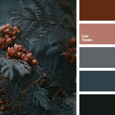 Grey Color Palettes | Page 2 of 143 | Color Palette Ideas In Color Balance, Burgundy Colour Palette, Teal Palette, Teal Color Palette, Christmas Palette, Christmas Color Palette, Color Palette Ideas, Burgundy Colour, Grey Palette