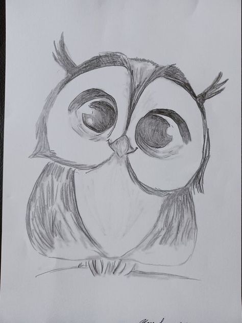 Owl Drawing Sketches, Cartoon Owl Drawing, Cute Owl Drawing, Owl Sketch, Owl Drawing, Pen Ink Drawings, Cool Pencil Drawings, Owls Drawing, Illustration Pen And Ink