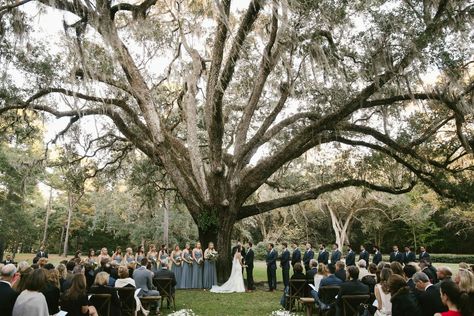 Couple at Wedding Underneath a Large Tree at Eden Gardens State Park in Santa Rosa Beach, Florida Outdoor Wedding Candles, Eden Gardens State Park, Garden Florida, Eden Gardens, Santa Rosa Beach Florida, State Park Wedding, Wedding Planner App, Estate Garden, Wedding Activities