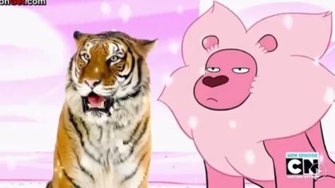 Giant Realistic Flying Tiger and Lion.... I ship it. Giant Realistic Flying Tiger, Lion Steven Universe, Tiger And Lion, Laugh Cartoon, Amazing Gumball, Uncle Grandpa, Flying Tiger, Love Machine, Silly Cats Pictures