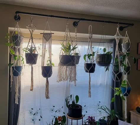 Hanging Plant Curtain, Hanging Rod For Plants, Towel Rack Plant Hanger, Black Wall Plants, Hanging Clothes Racks Diy, Window Plant Hanger Curtain Rods, Plant Rod Hanger, Wall Of Hanging Plants, Industrial Hanging Plants