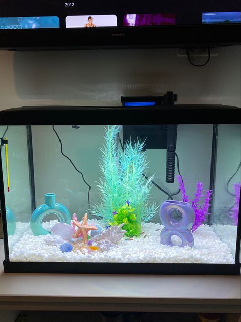 Colorful Fish Tank Ideas, Home Aquarium Aesthetic Small, Aesthetic Aquarium Ideas, Aesthetic Fishtanks, Cute Fish Tanks Ideas, Girly Fish Tank Ideas, Small Fish Tank Aesthetic, Fish Tank Cute, Pet Fish Aesthetic Tank