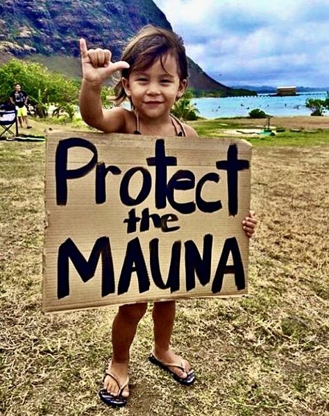 Hawaii Quotes, Tongan Culture, Mauna Kea, Hawaiian Art, Cute Disney Pictures, Indigenous Americans, Hawaiian Culture, Polynesian Culture, World Problems