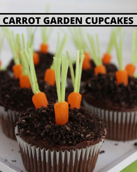 Welcome Spring with these adorable Carrot Garden Cupcakes! They're super easy to make and so fun to eat- kids will absolutely love them! They're made with chocolate cupcakes, crushed oreos, and candy carrots and are perfect for Easter Bunny inspired Easter cupcakes or any other Spring occasion. These are sure to be a hit with kids and adults alike! Easter Carrot Cupcakes, Recipes Dessert Easy, Carrot Garden, Easter Cupcakes Easy, Carrot Craft, Garden Cupcakes, Carrot Gardening, Cake Easter, Spring Cupcakes