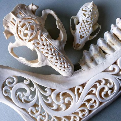 Animal Skull Carving, Carved Animal Skulls, Bone Carving Tutorial, Deer Skull Carving, Skull Carving Pattern, Deer Skull Carving Patterns, Painted Bones, Beaver Skull, Bone Sculpture