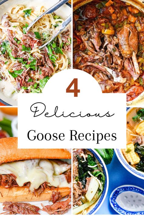 Goose recipes like Goose Fettucini Alfredo, Goose Stew, French Dip Sandwiches with Goose Meat, and Snow Goose Soup. Goose Stew Recipes, Goose Stew, Wild Goose Recipes, Goose Breast Recipes, How To Cook Goose, Cooked Goose, Fettucini Alfredo, Duck Breast Recipe, Goose Recipes