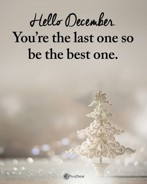 Power of Positivity on Instagram: “Double TAP if you agree.  Hello December You're the last one so be the best one. #powerofpositivity” Welcome December Images, Welcome December Quotes, Xmas Decorations Ideas, Hello December Images, December Images, Welcome December, December Quotes, Seasons Months, Hello December