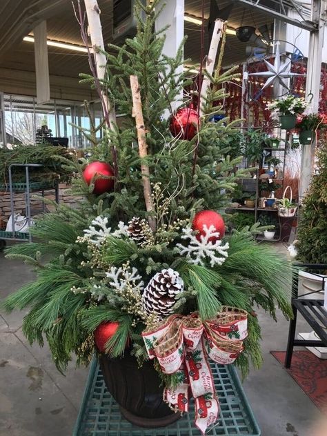 Christmas Potted Arrangements, Porch Pot Ideas For Christmas, Christmas Pot Decorations Outdoor, Diy Spruce Tip Pots, Spruce Tops Planters, Spruce Pot Ideas, Potted Christmas Tree Outdoor, Spruce Top Planter Ideas, Porch Pots Ideas Christmas