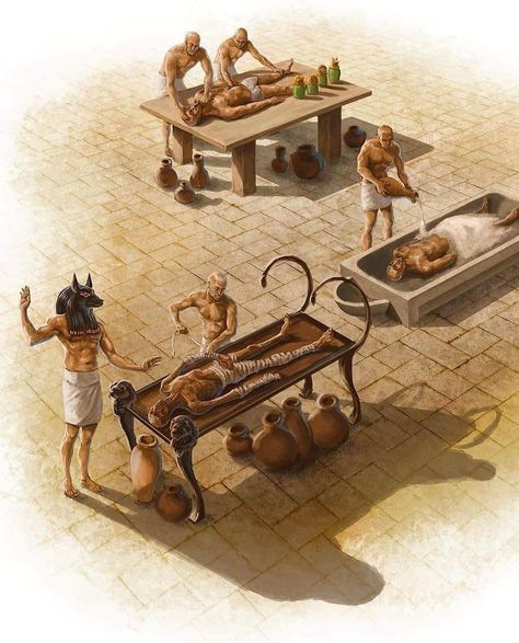 Mummification Process, Life In Ancient Egypt, Egypt Mummy, Starověký Egypt, Egyptian Mummies, Visit Egypt, Ancient Egyptians, Egyptian Culture, Egypt Art