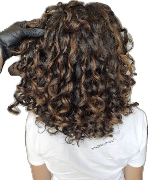 Curly Hair Winter Color, Curly Hair Colour Ideas Highlights, Thick Highlights, Highlights For Dark Brown Hair, Highlights Curly, Curly Color, Dark Curly Hair, Dyed Curly Hair, Natural Curly Hair Cuts