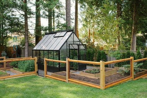 Fenced Vegetable Garden, Taman Diy, Plants Growing, Backyard Greenhouse, Greenhouse Plans, Garden Greenhouse, Greenhouse Gardening, Vegetable Garden Design, Garden Bed