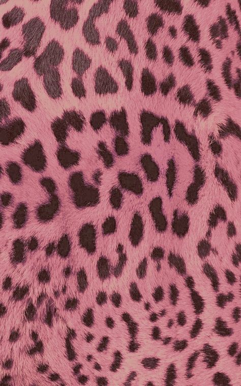 Pink Cheetah Print Aesthetic, Dirty Pink Aesthetic, Brown And Pink Wallpaper, Ipad Makeover, Blue Collage, Pink Cheetah Print, Color Board, Phone Inspo, Pink Cheetah