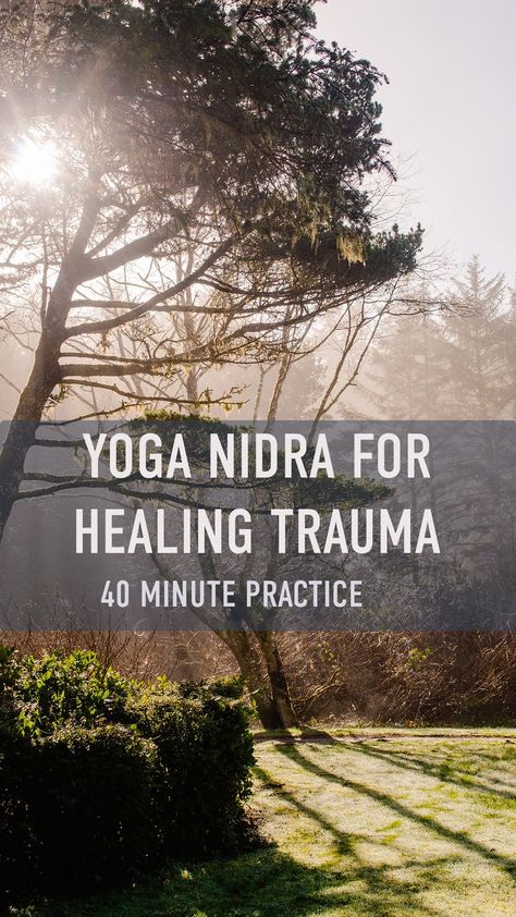 sun cutting through a tree with fog in the background and text over that says "yoga nidra for healing trauma 40 minute practice" Yin Yoga For Emotional Release, Yoga Nidra Benefits, Yoga Readings For Savasana, Yoga Nidra Script, Yoga Nidra Script Guided Meditation, Yoga Nidra Meditation, Nervus Vagus, Meditation Scripts, Mental Health Nursing