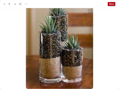 Terrariums Diy, Indoor Succulent Planter, Succulents In Glass, Terrarium Centerpiece, Diy Succulent Terrarium, Succulent Planter Diy, Zebra Plant, Trendy Plants, Succulent Landscaping