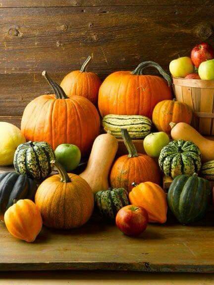 Beautiful Deco Fruit, Country Woman, Pumpkins And Gourds, Organic Garden, Harvest Time, Fabulous Fall, Autumn Beauty, Fall Pictures, Fruit And Veg