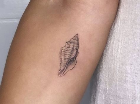 Sienna Tattoo, Tattoo Seashell, Sea Shell Tattoo, Sea Tattoos, Tattoo Tube, Shell Tattoo, Seashell Tattoos, Shell Tattoos, Ear Tattoo Ideas