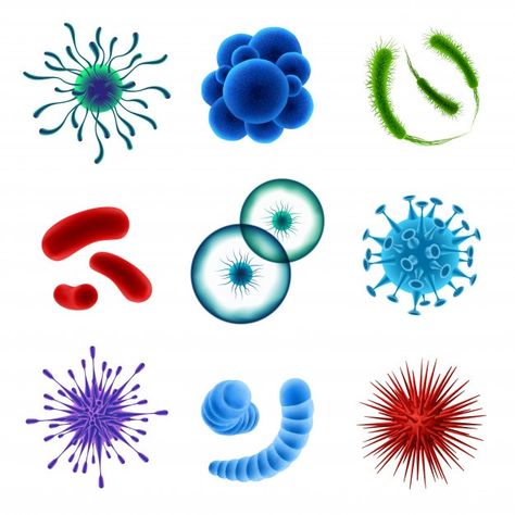 Realistic virus cells set Free Vector | Free Vector #Freepik #freevector #nature #science #3d #shapes Nature Science, Branding Design Inspiration, Art Collage Wall, Set Free, Vector Photo, Different Shapes, Wall Collage, Cartoon Styles, Image Illustration