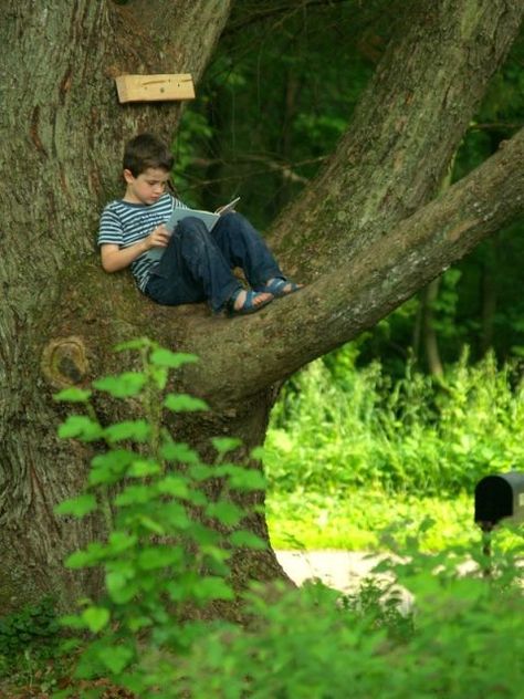 18 Amazing Outdoor Reading Nooks [Photos]