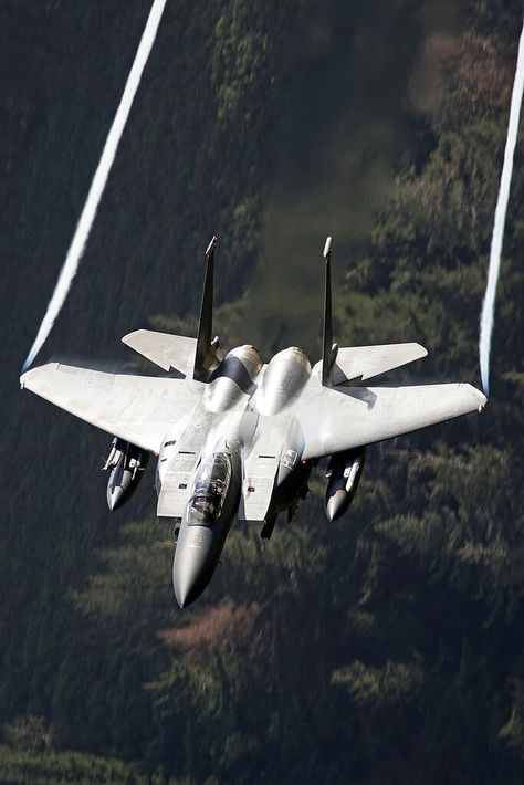 Tomcat F14, Jet Fighter Pilot, Us Military Aircraft, Airplane Fighter, F 15, Military Airplane, Air Fighter, Military Jets, Jet Aircraft